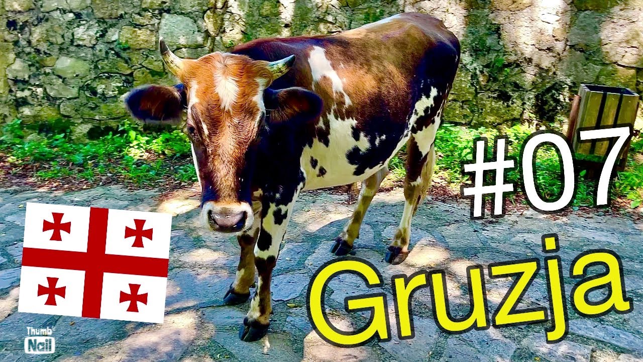 Gruzja #07 🇬🇪 Kutaisi czy jechać do Monasteru Gelati? #gruzja #podróże