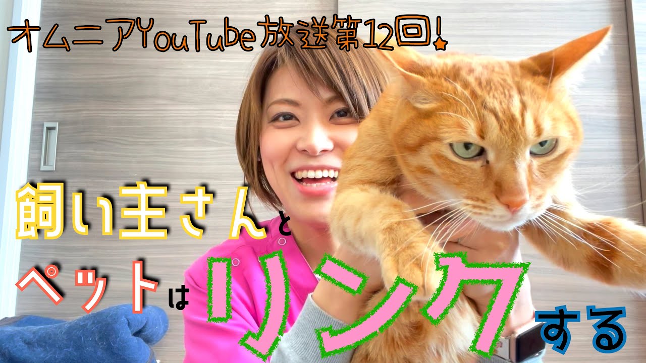飼い主さんとペットはリンクする