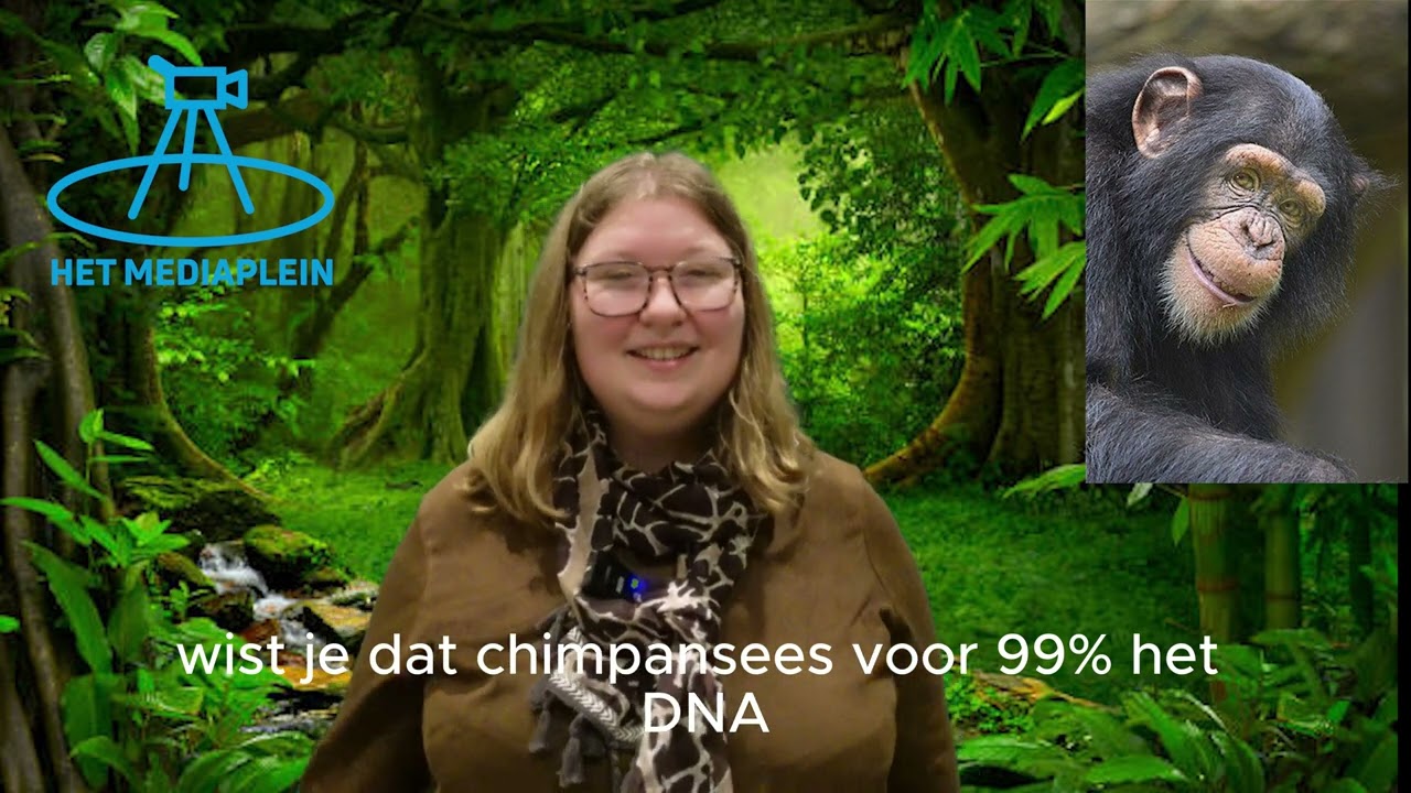 Dag van de aap!