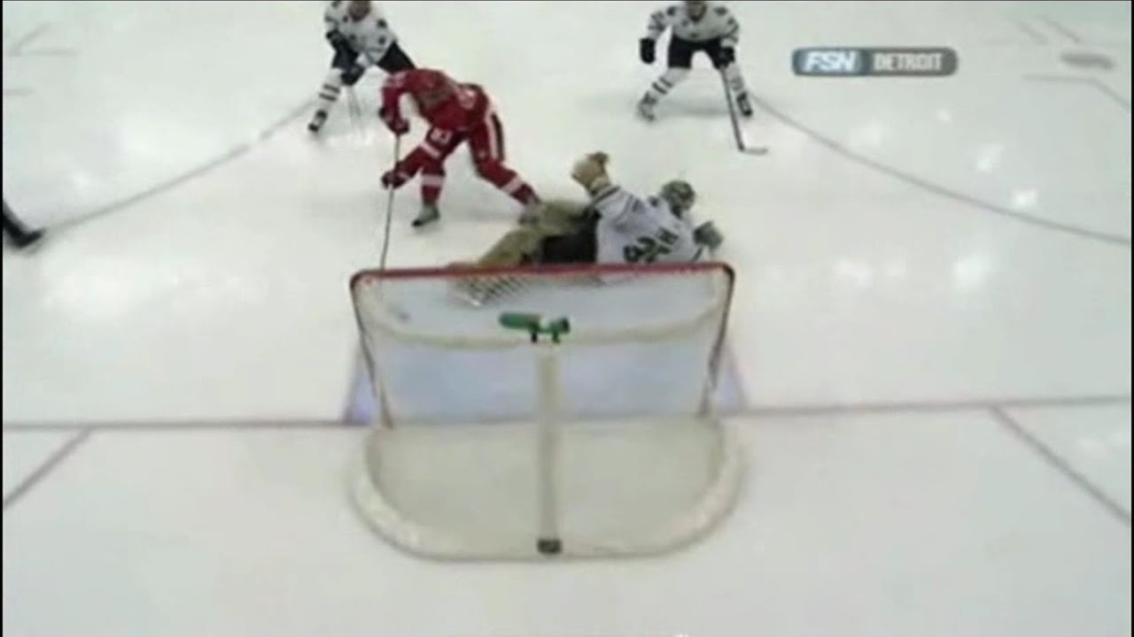 Johan Franzen Goals (2007-2008)