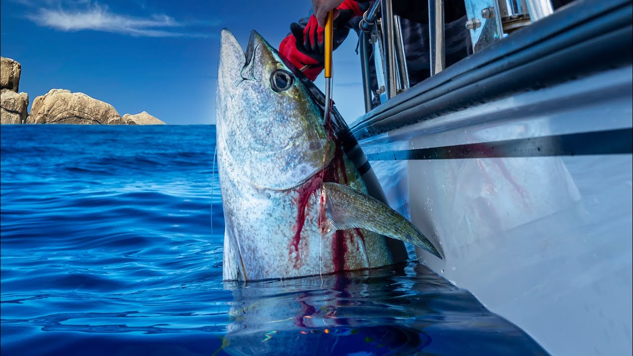 Trolling for Ahi on a 17' Boston Whaler - Ahi Fishing Hawaii - Tips for Catching Ahi