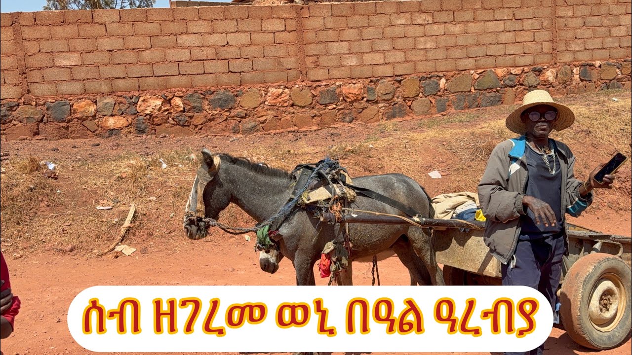Seb zegereme weni beal arebya/ ሰብ ዘገረመ ወኒ በዓል ዓረብያ