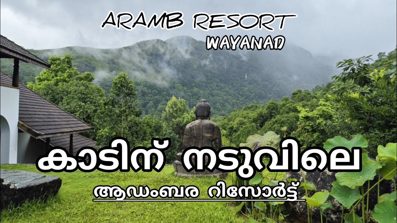 വന സൗന്ദര്യം ആസ്വദിച്ച് താമസിക്കാം. Forest inside stay. Aramb botique resort wayanad meppadi
