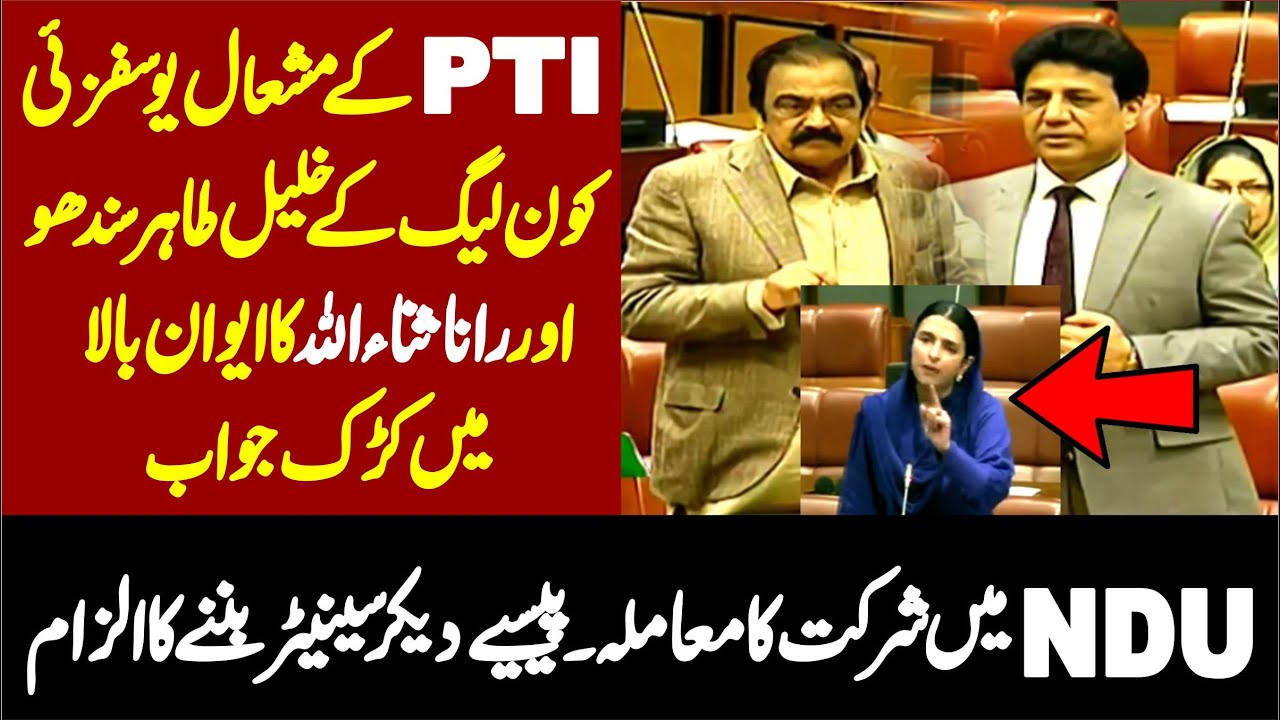 PMLN Khalil Tahir Sindhu & Rana Sana Ullah Strong Reply To PTI Mashal Yousafzai In Senate