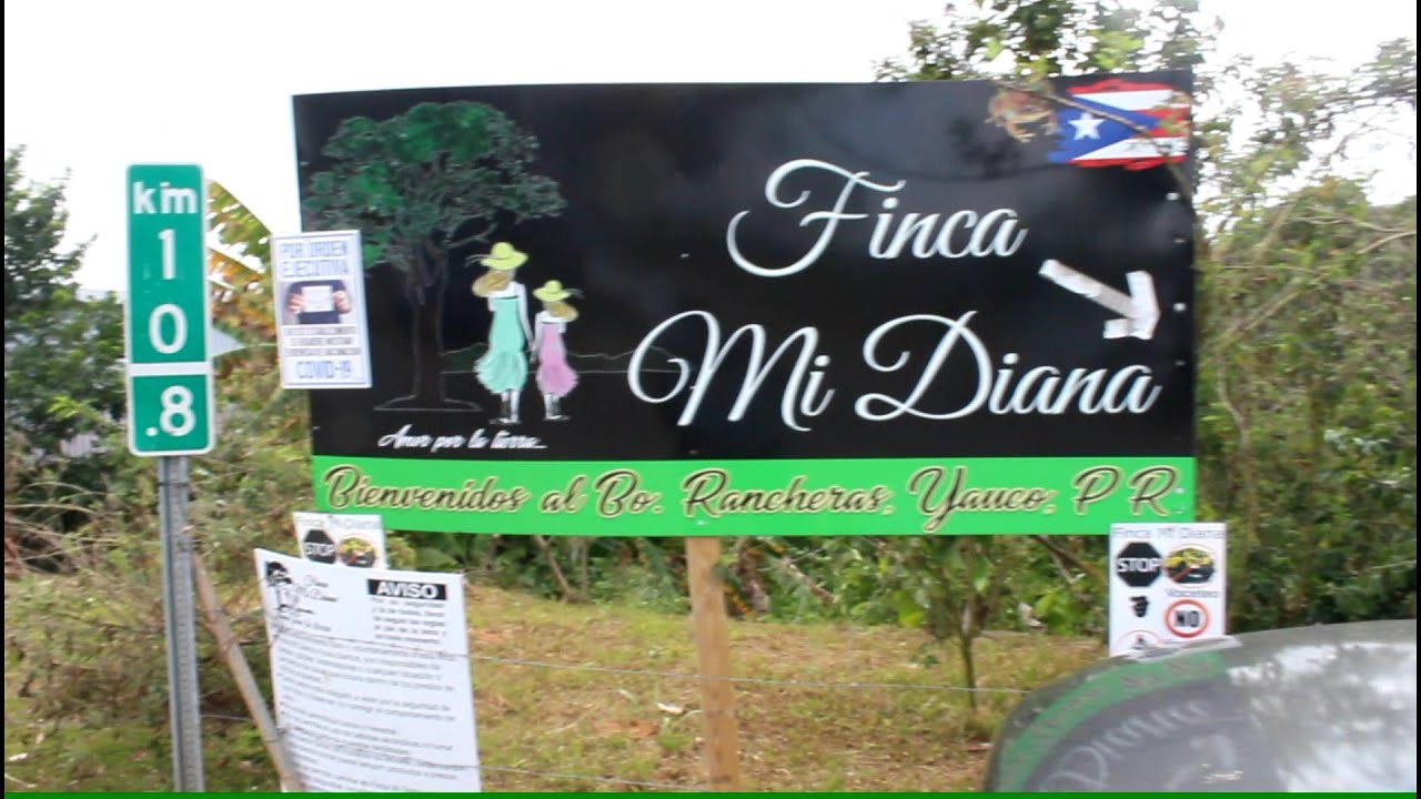 Finca Mi Diana, Barrio Ranchera, Yauco, P.R. Viajando con Mr. Marrero.