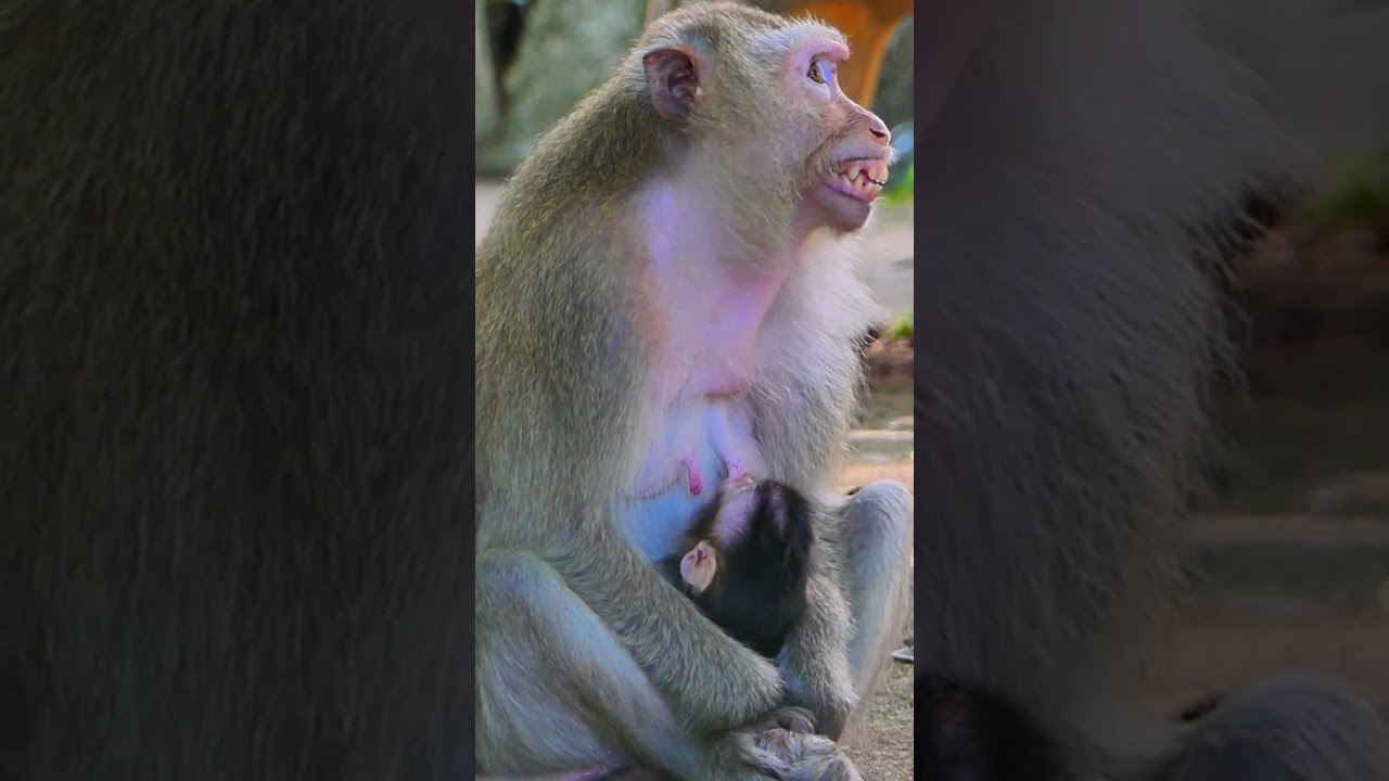 Mom Teva Hug Baby Newborn