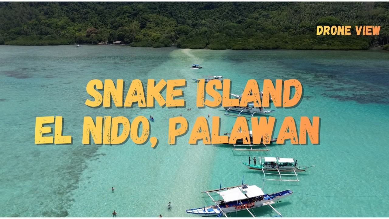 Snake Island Palawan Sandbar S-Curve Aerial Perspective / DJI Mini 3 4K