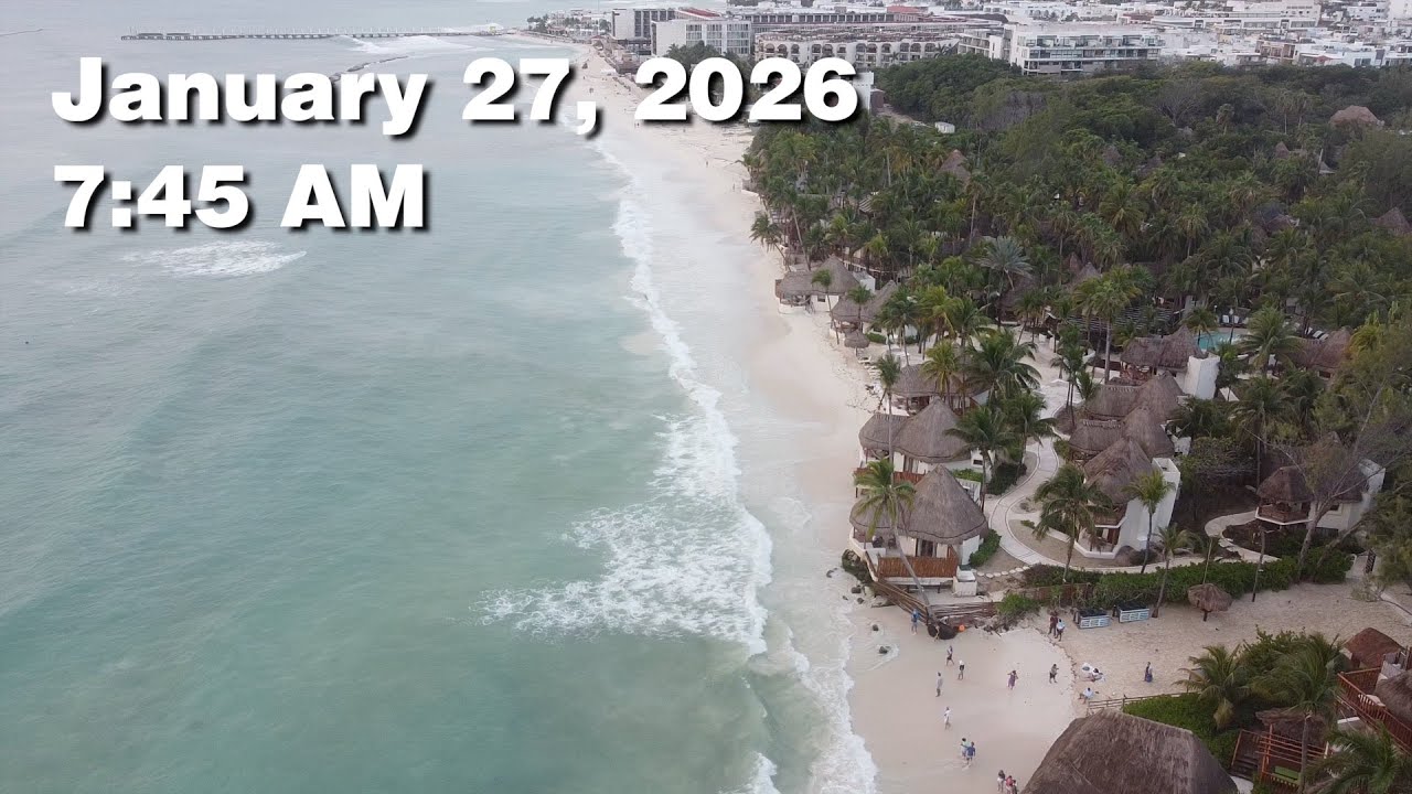 Daily Sargassum Sargasso Seaweed Report at Playa del Carmen, Mexico - January 27, 2026 #sargassum