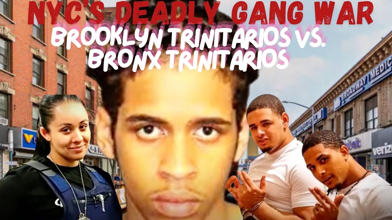 NYC'S DEADY GANG WAR: Brooklyn Trinitarios VS Bronx Trinitarios