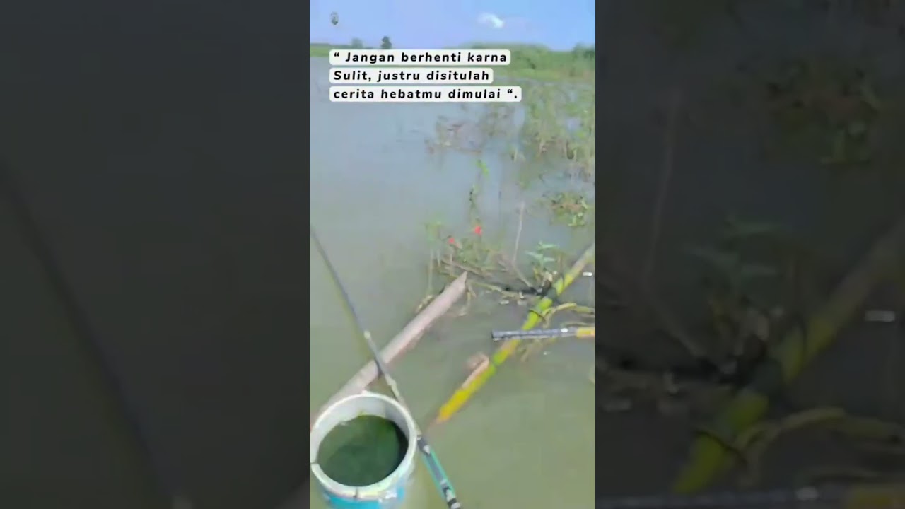 #fishing #katakatabijak #mancingnila #mancingmania #mancingliar #hobbymancing