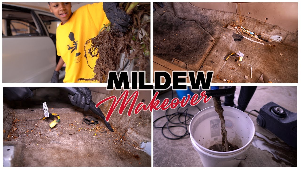 Detailing + Deep Cleaning NASTY MILDEW!! Extreme Transformation and Carpet Extraction