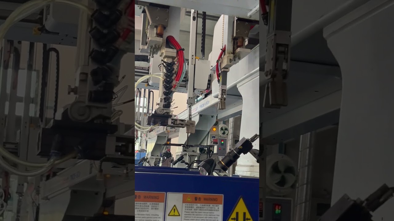 Daily precision molding, global reliability delivered. 