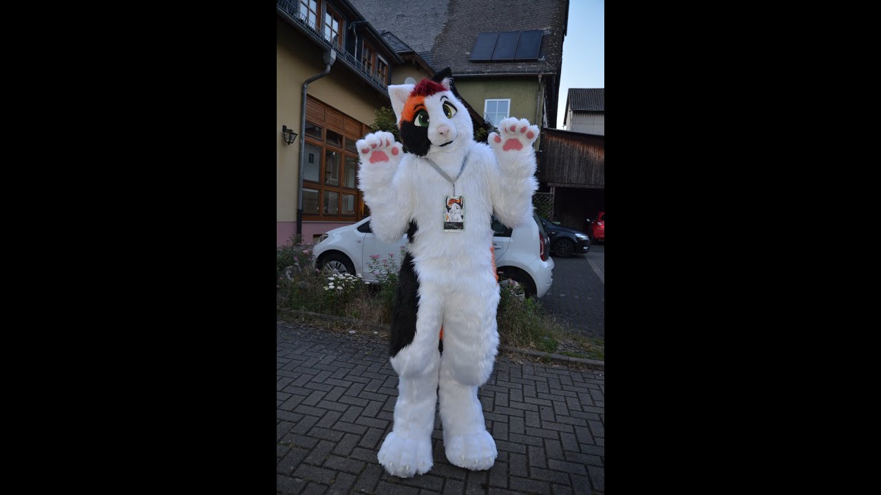 Shinji the Cat - Fursuit unboxing and Suit up