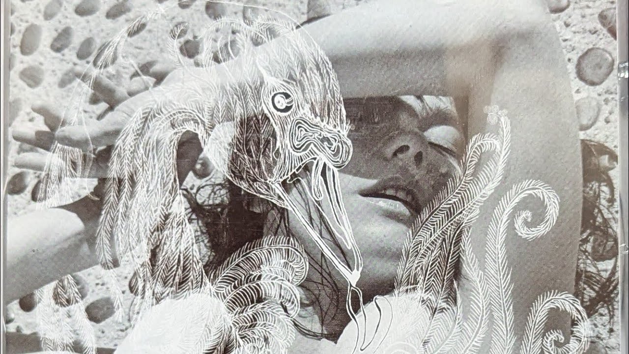 BJORK, vespertine (FULL ALBUM)