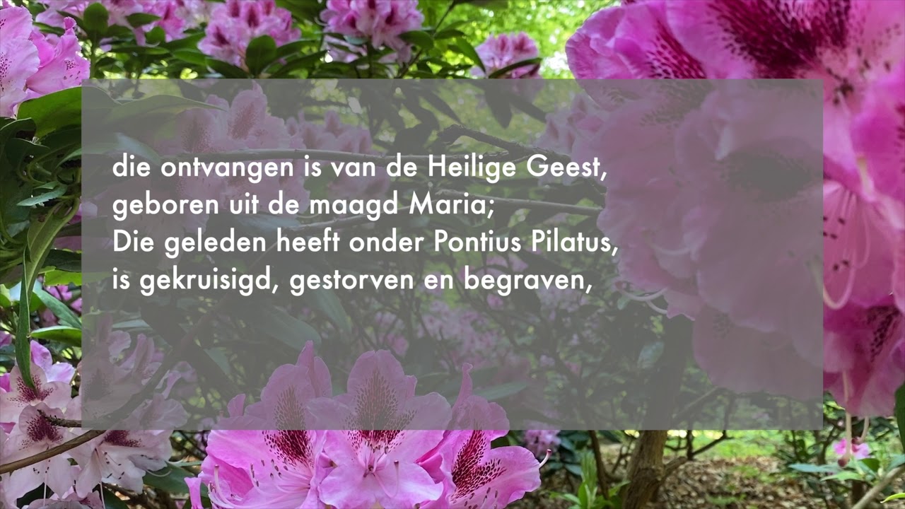 Apostolische Geloofsbelijdenis Gezang 4 Gereformeerd Kerkboek
