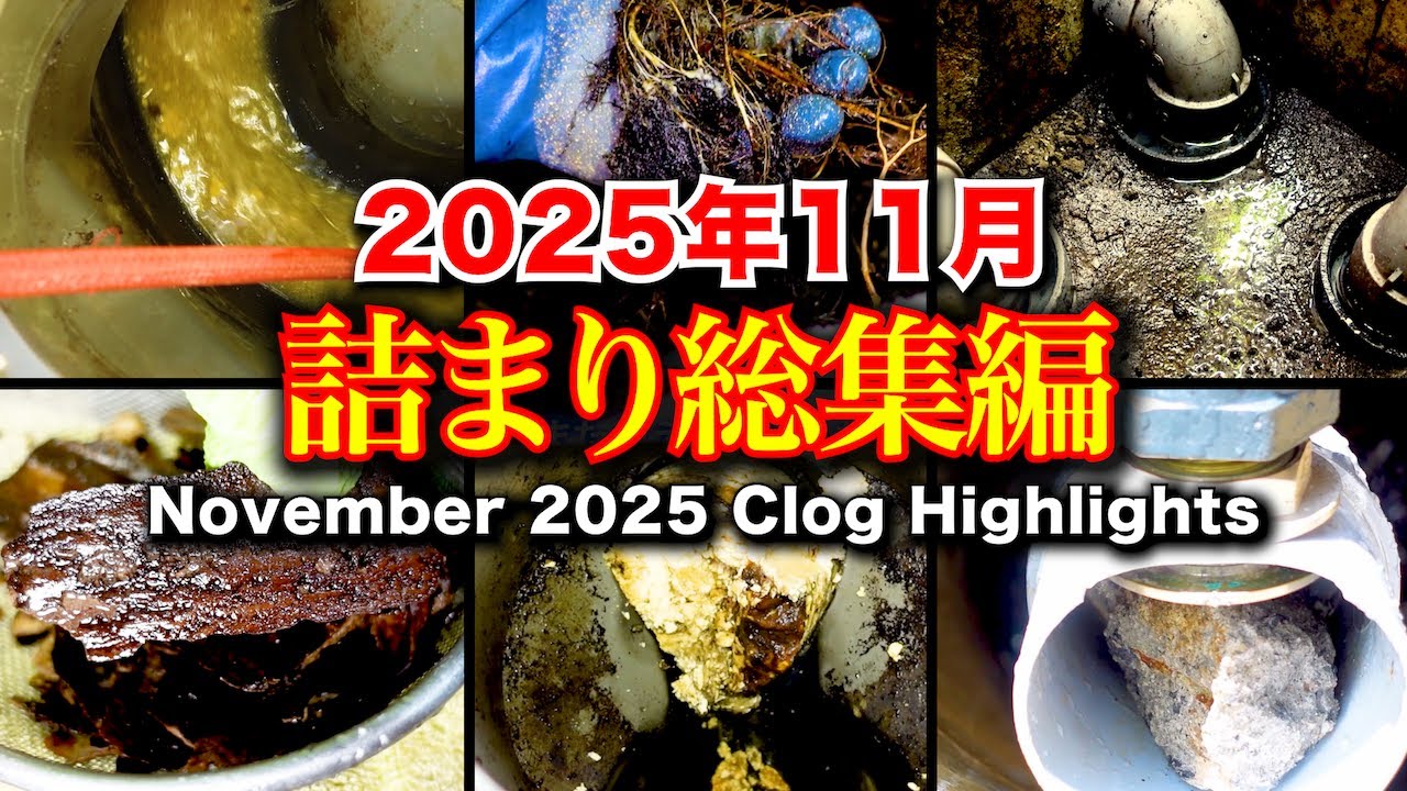 【選りすぐりダイジェスト】11月の詰まり総集編！今年も一年ありがとうございました！！