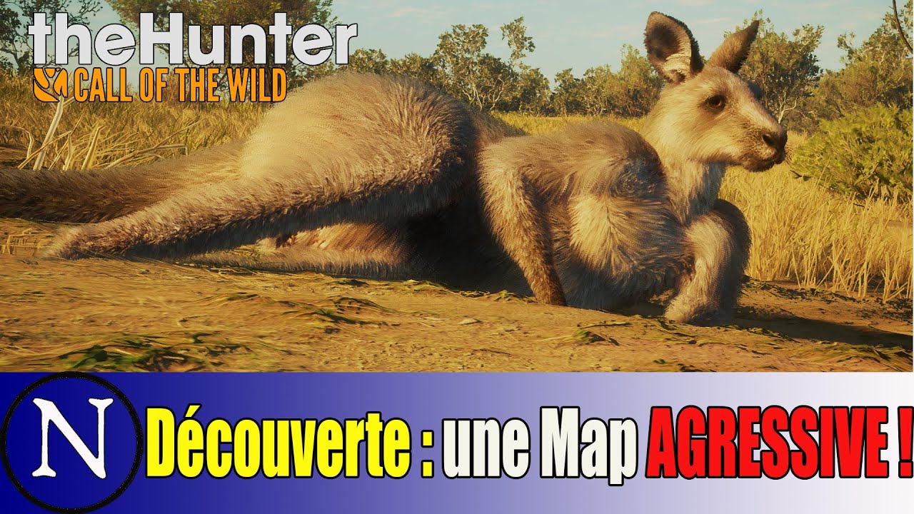 The Hunter COTW : découverte de l'Australie