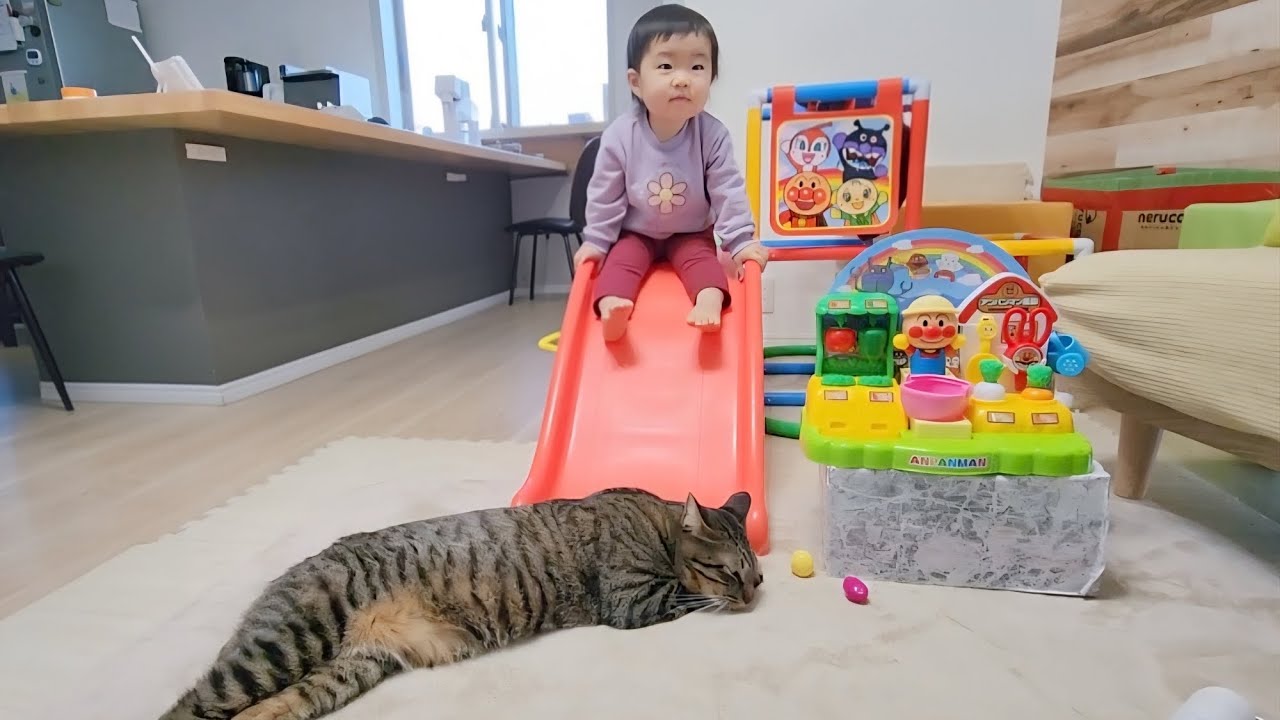 1歳児と猫のこの後まさかの展開に感動しました...。