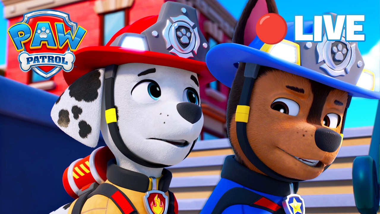 🔴 LIVE | Non-Stop Rescue Marathon! | Best Rescues of Season 10 + 11