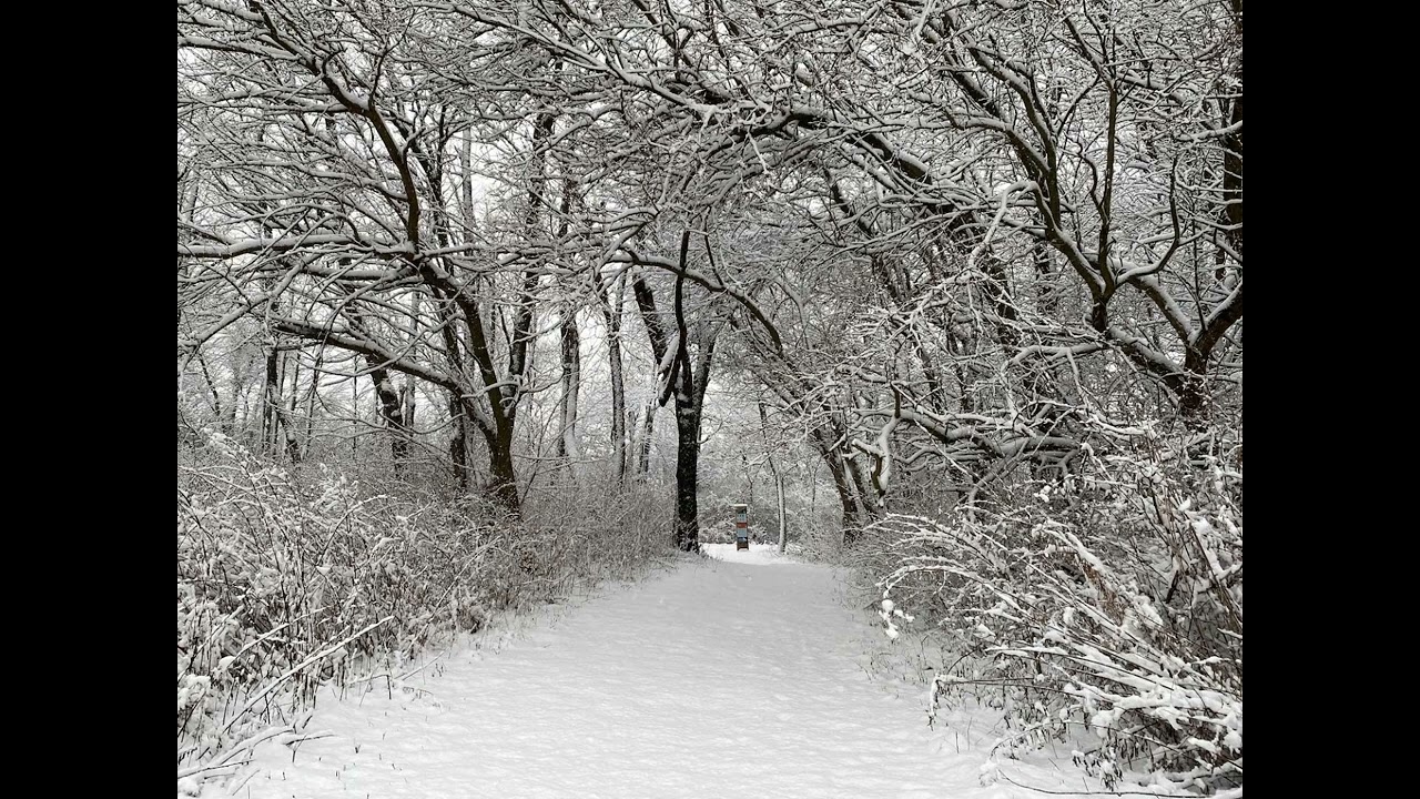 The Winter