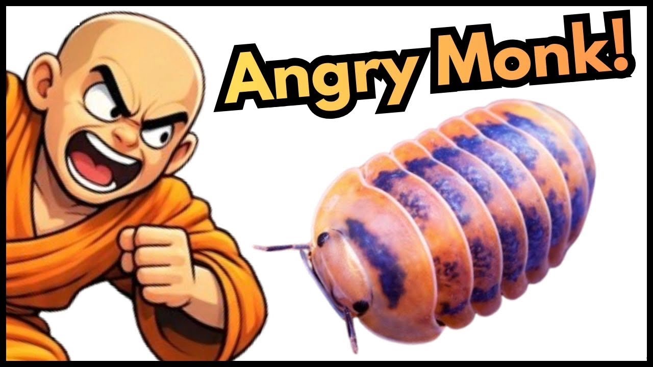 The Most Demanding Isopod In My Collection