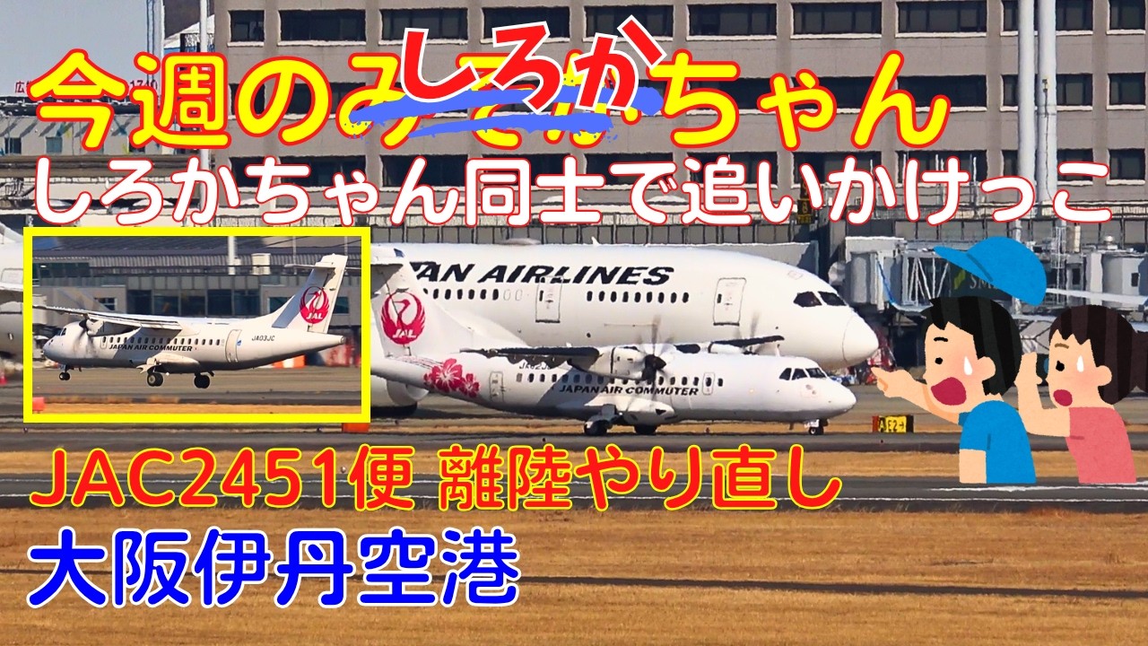 【大阪伊丹空港】今週のみぞかちゃん　しろかちゃん同士で追いかけっこ