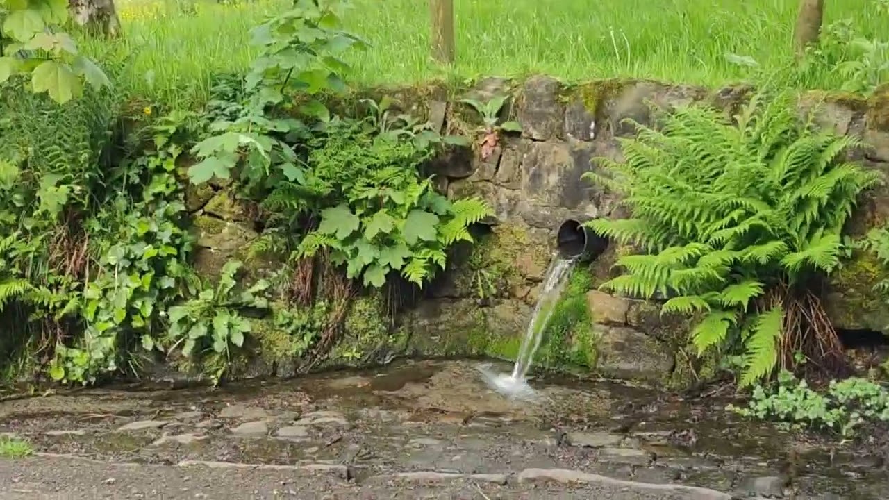 Biddulph Moor Countryside Tour 14/05/24 ⛅🕳️🐴💩🐱🐑🎥