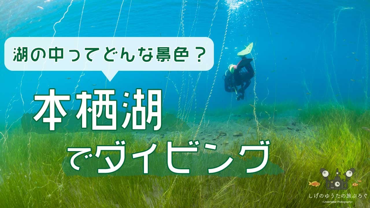 湖ならでは！本栖湖のダイビングの面白さを解説！