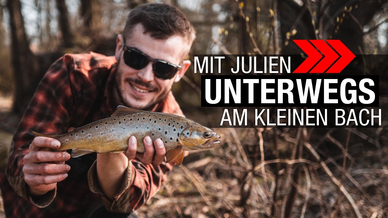 EIN METER BACHFORELLE! Mit Julien Unterwegs am kleinen Bach