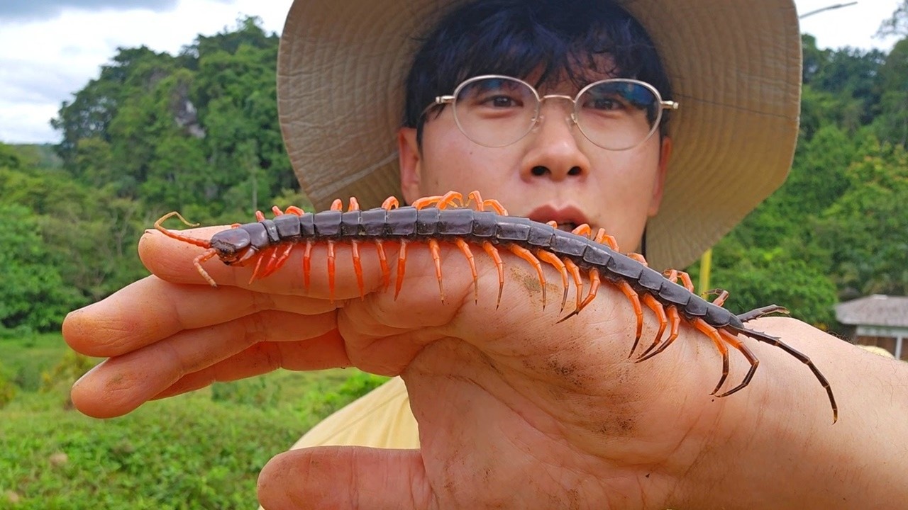 수마트라ep.6｜물리면 지옥행인 생물이 득실득실합니다.. 제발 살려주세요..ㅠ