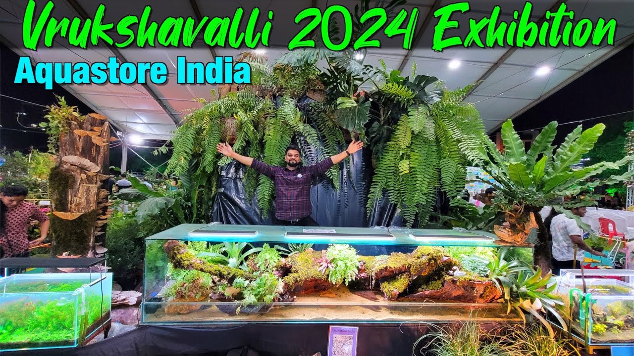 Vrukshavalli 2024 Exhibition I Terrarium I Aquascape I Aquastore India