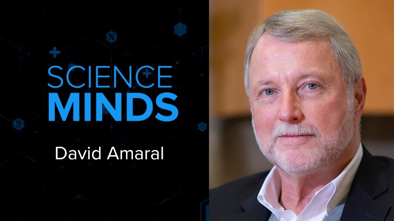 Наука MINDS: Дэвид Амарал, Институт MIND при Калифорнийском университете в Дэвисе (2025)
