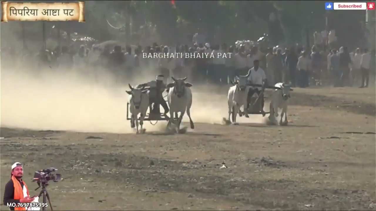 तीसरा कपल 💐 दूसरा दिन  ❤️ पिपरिया आष्टा पट All Video 💐 Ox Race 😍 Pat Pratiyogita Video 💐 Barghati