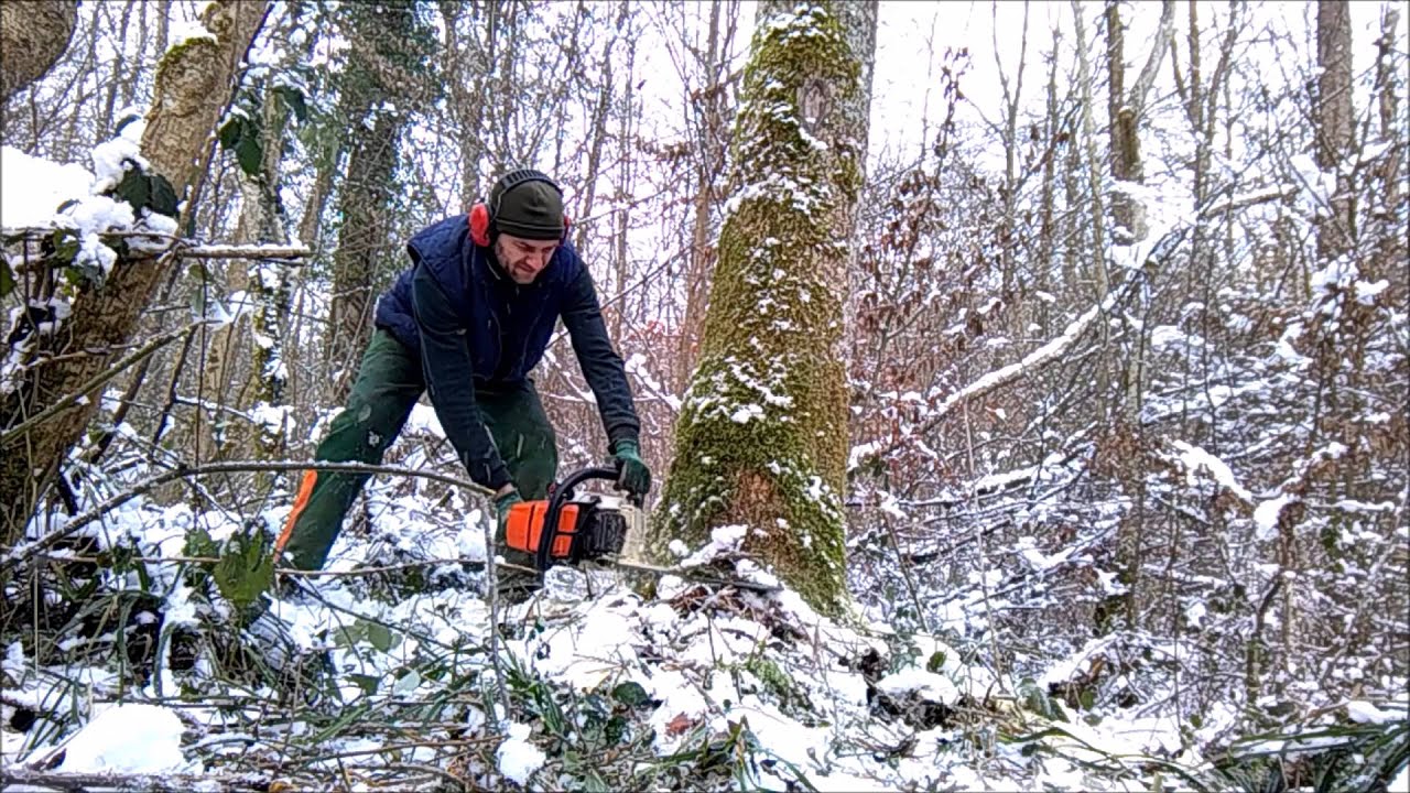 Abattage d'arbres Stihl ms361