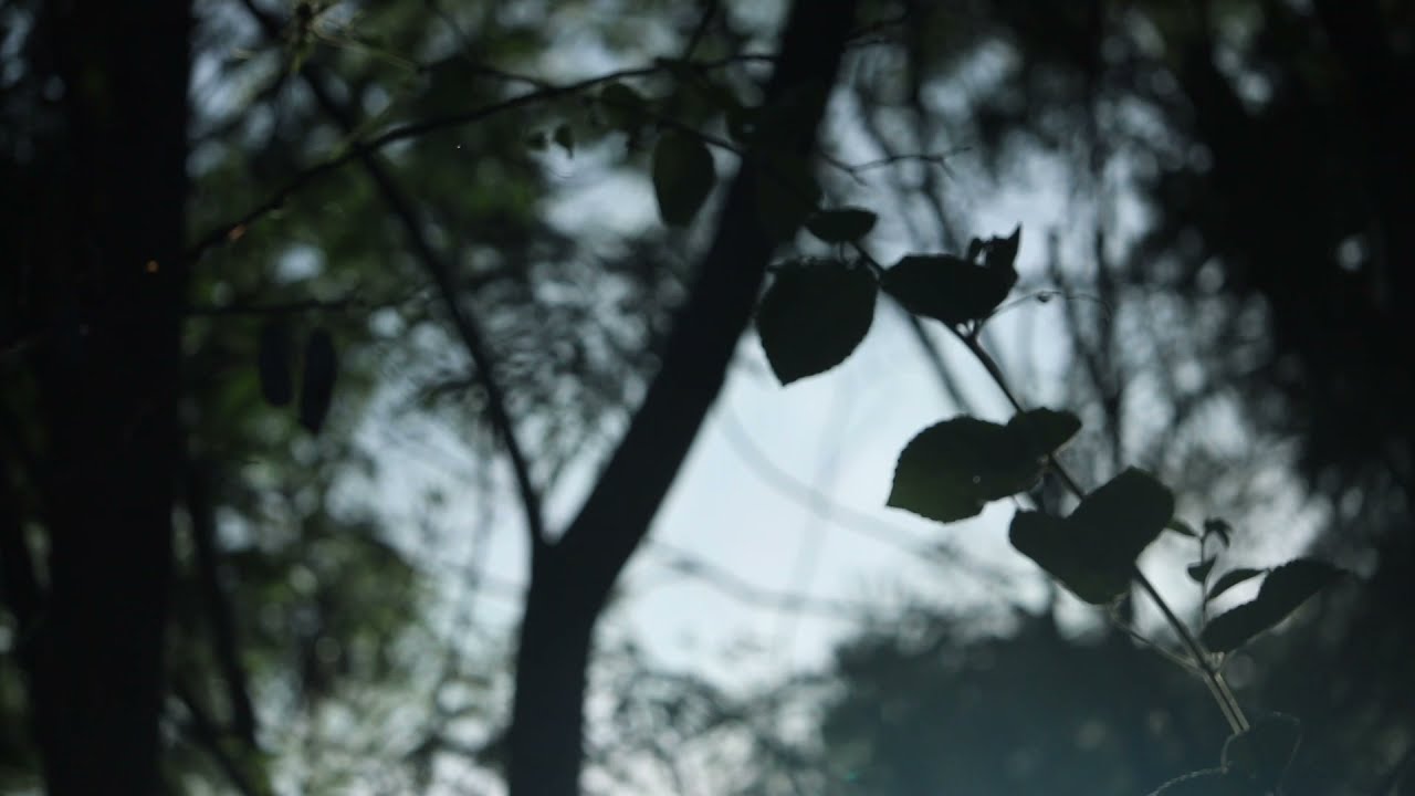 Fade to green - 2021