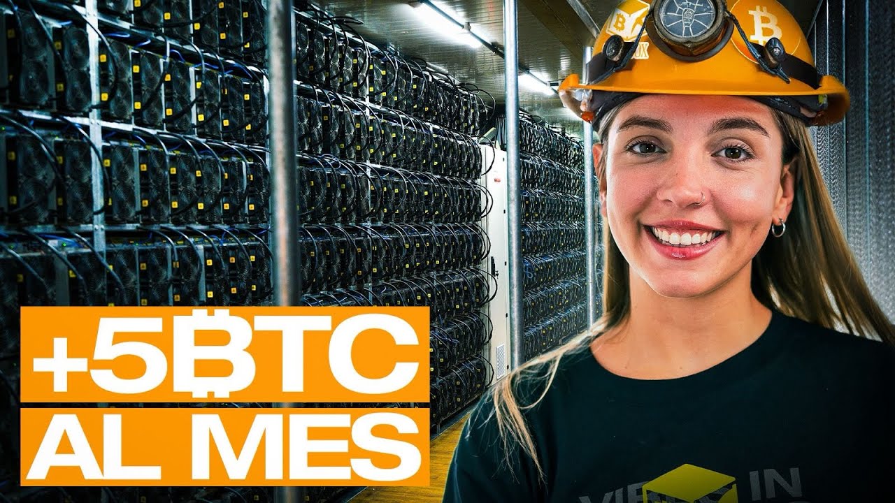 Coinbox por dentro: así funciona el housing de minería