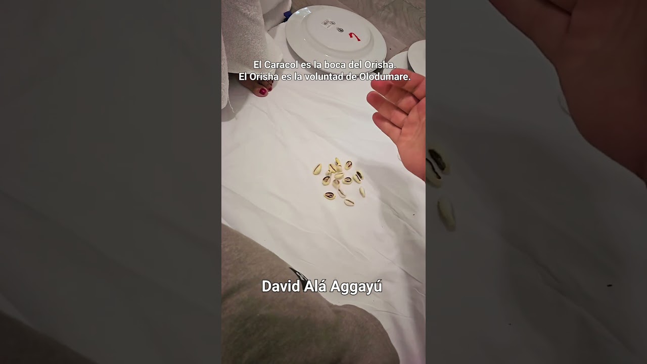 EL CARACOL DILOGUN DE LOS ORISHAS. 