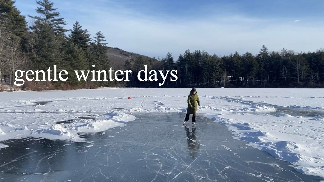 A Quiet Winter for a Tired Nervous System | Slow Living in the Forest