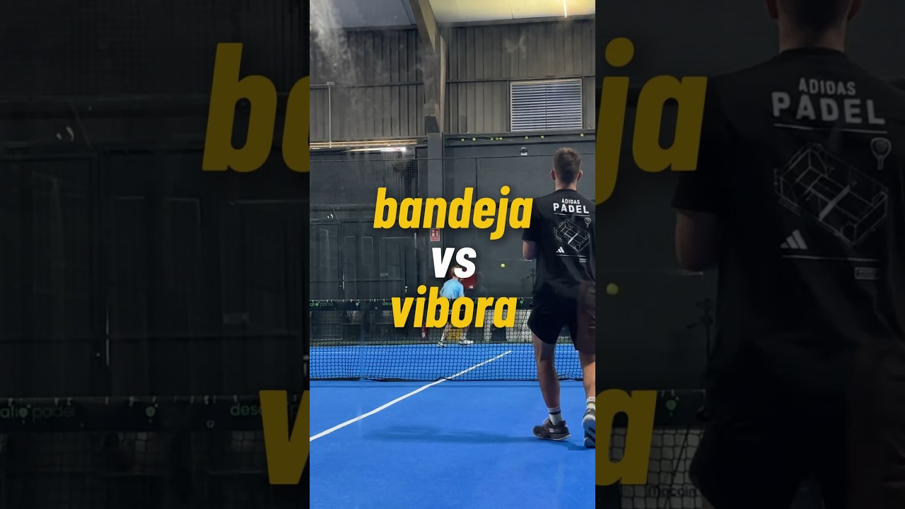 bandeja VS v&iacute;bora 🐍
