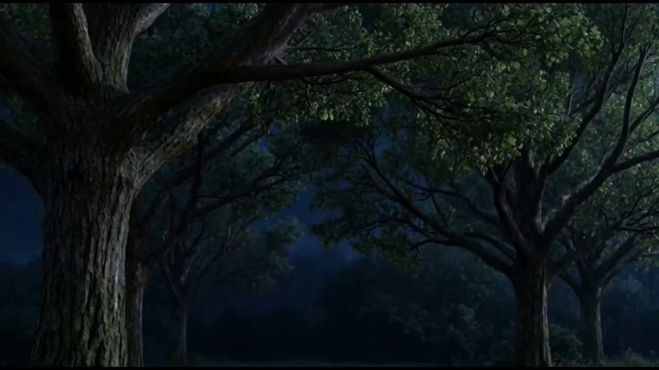 Wind Through Trees at Night | Gentle Night Breeze Sounds for Relaxation & Sleep