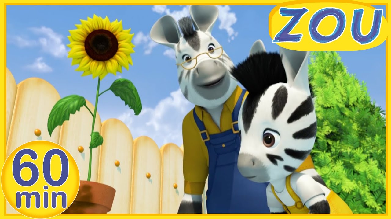 Zou in English 🌻 ZOU DISCOVERS NATURE 🌿 60 min COMPILATION | Cartoons