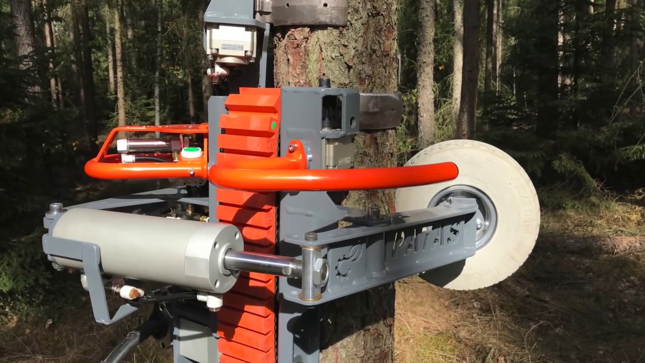 Advaligno delimber: delimbing system for living trees || New Tech HD