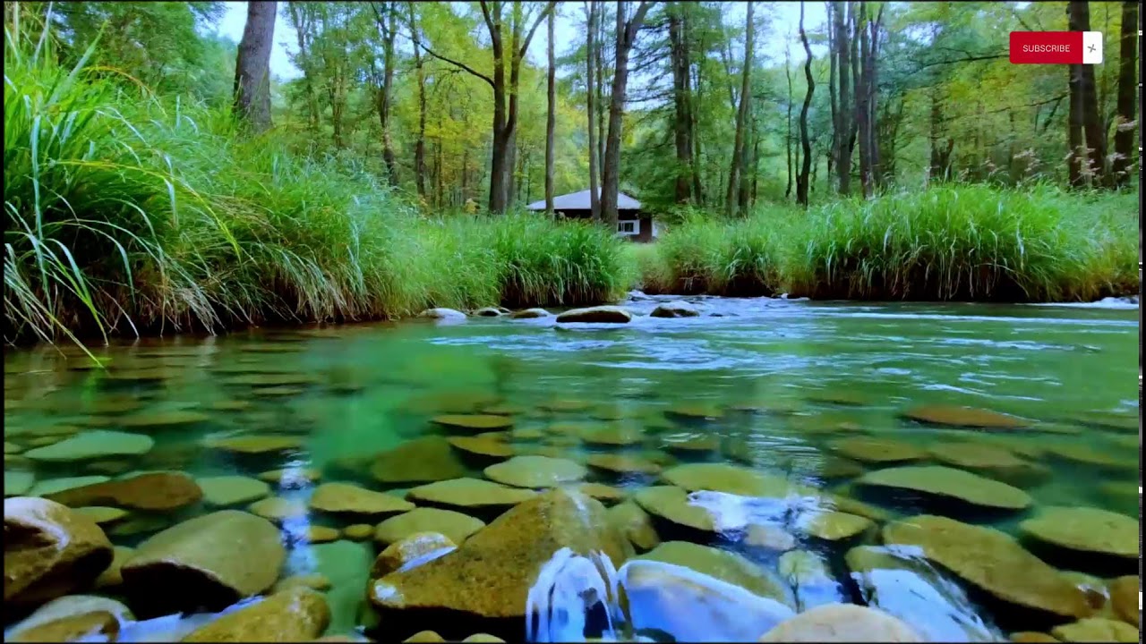 Deep Sleep Piano Music with River Sounds | Stress Relief & Relaxation | 10 Hours