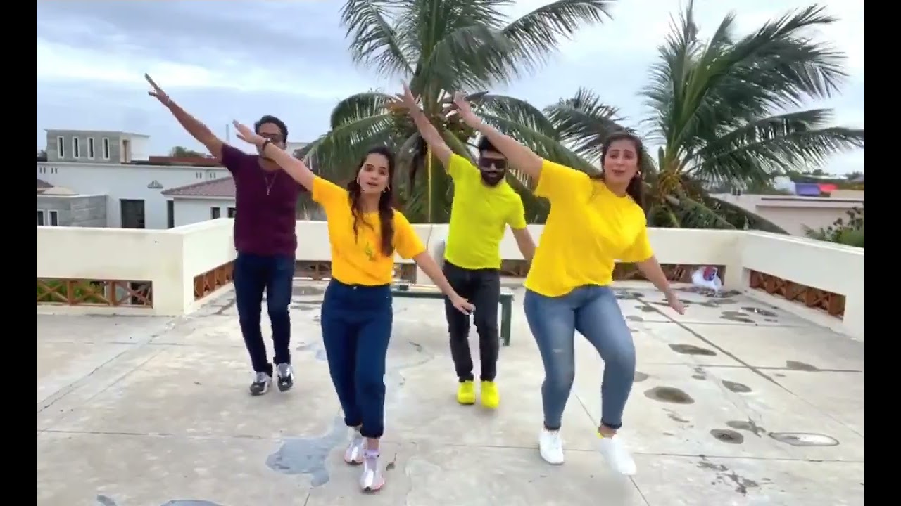 Maham Amir with husband Faizan sheikh and friends dance on habibi new song of asim azhar 