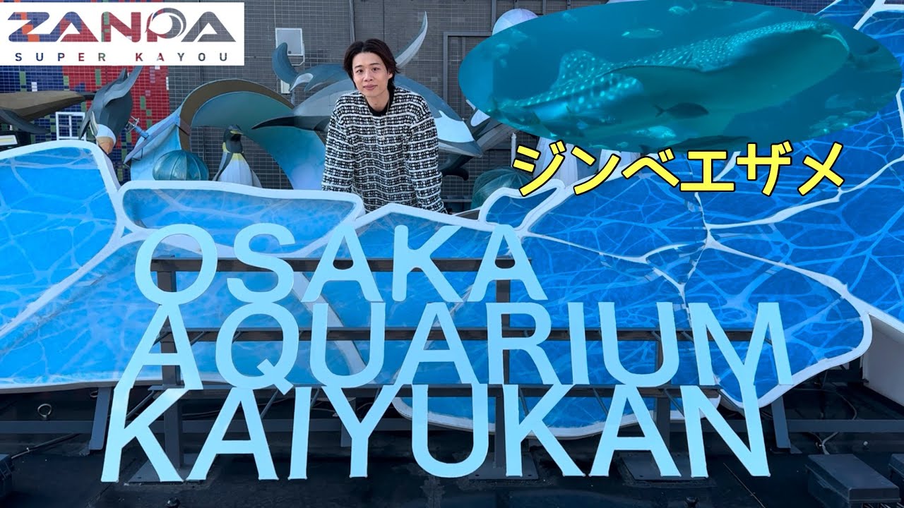 【外ロケ】大阪海遊館おもろすぎる！