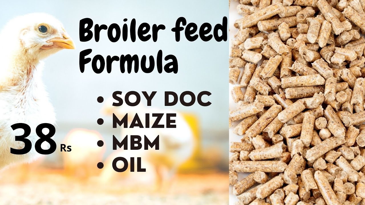 Broiler Feed Formulation 9871584101 Whatsapp | ब्रायलर फीड How to make Poultry Feed | consultancy