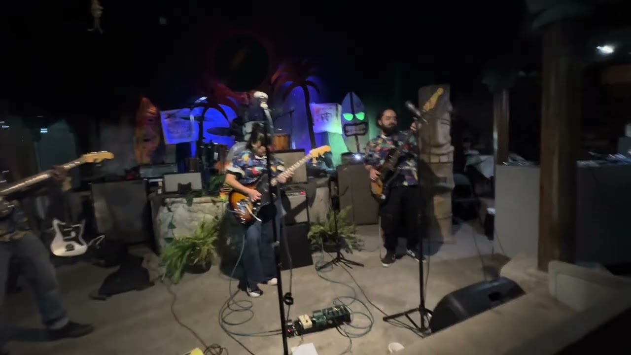 Anémonas - Barra Vieja