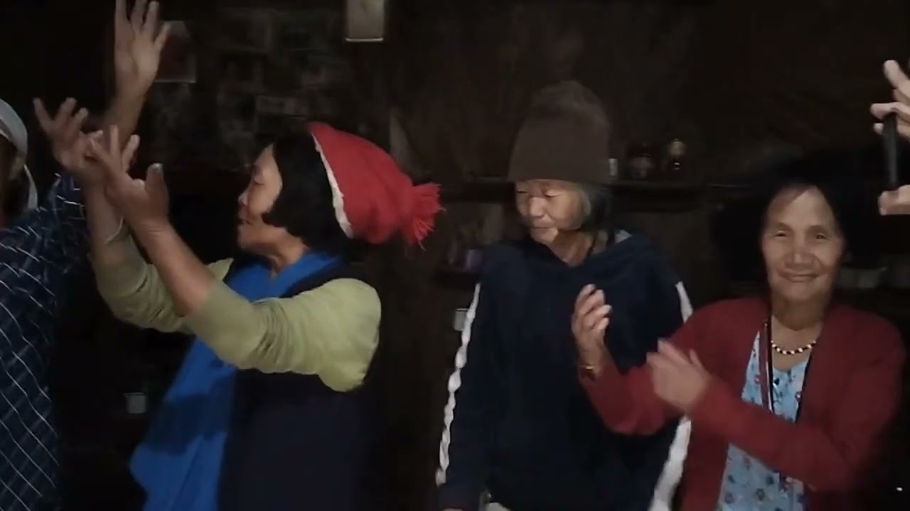 #shortvideo  village  party 