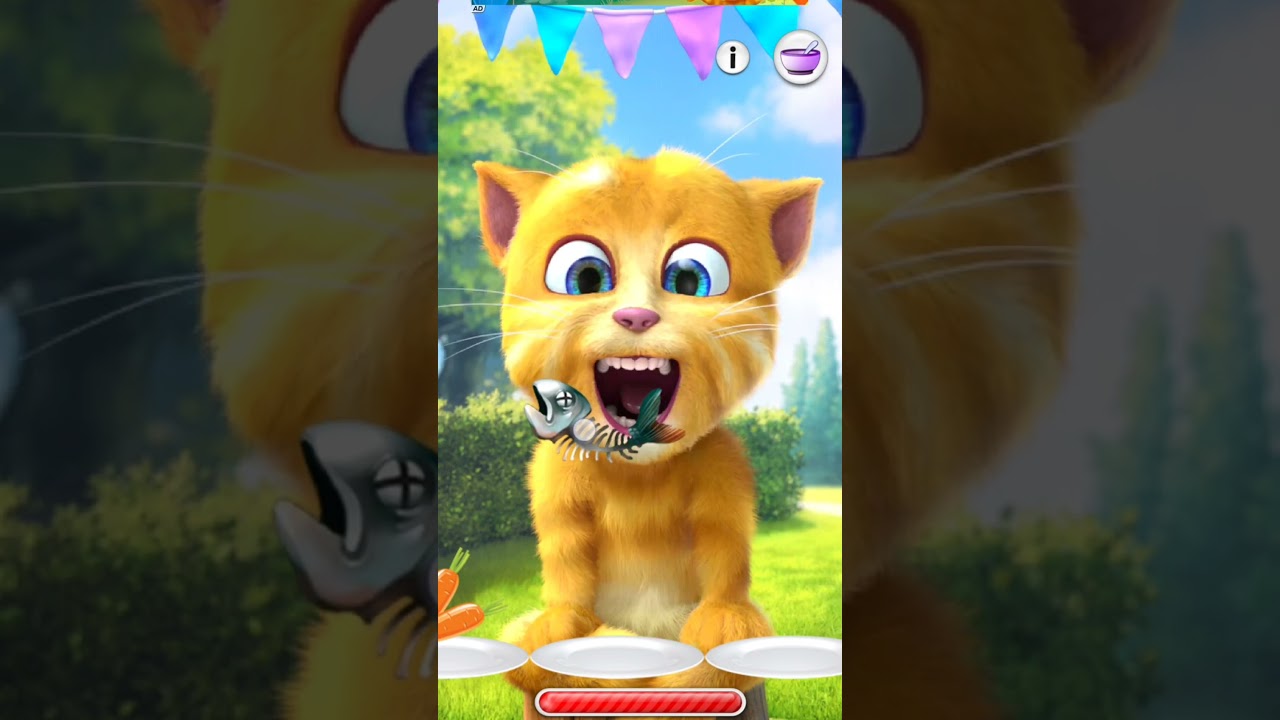 talking ginger cat fish, 😂 funny cat video 🐈 #talkingtomversion #cat #talkingtom