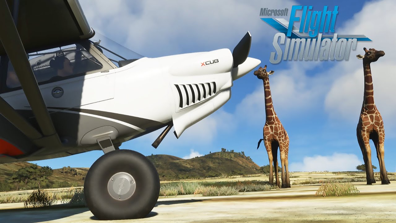 The Animals Of Microsoft Flight Simulator 2020 | Hands On Beta Preview!